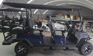 Denago Eléctrico - 6 Pasajeros (Litio)