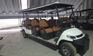 CARRITO DE GOLF MARCA MG-X Eléctrico - 8 Pasajeros