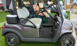 CLUB CAR ONWARD 2 PASAJEROS AÑO 2025